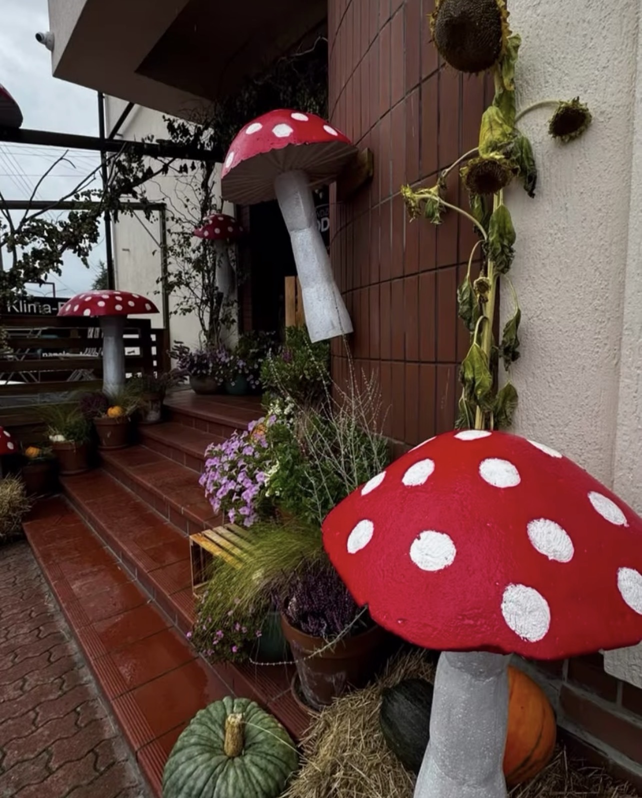 Czerwone muchomory ze styropianu w jesiennej dekoracji wejścia do budynku